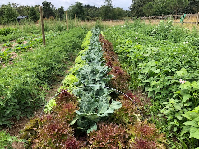 permaculture