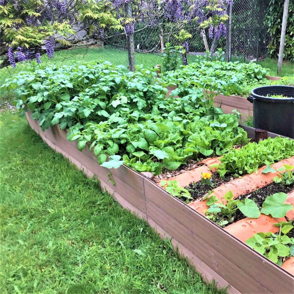permaculture dans l'écovillage