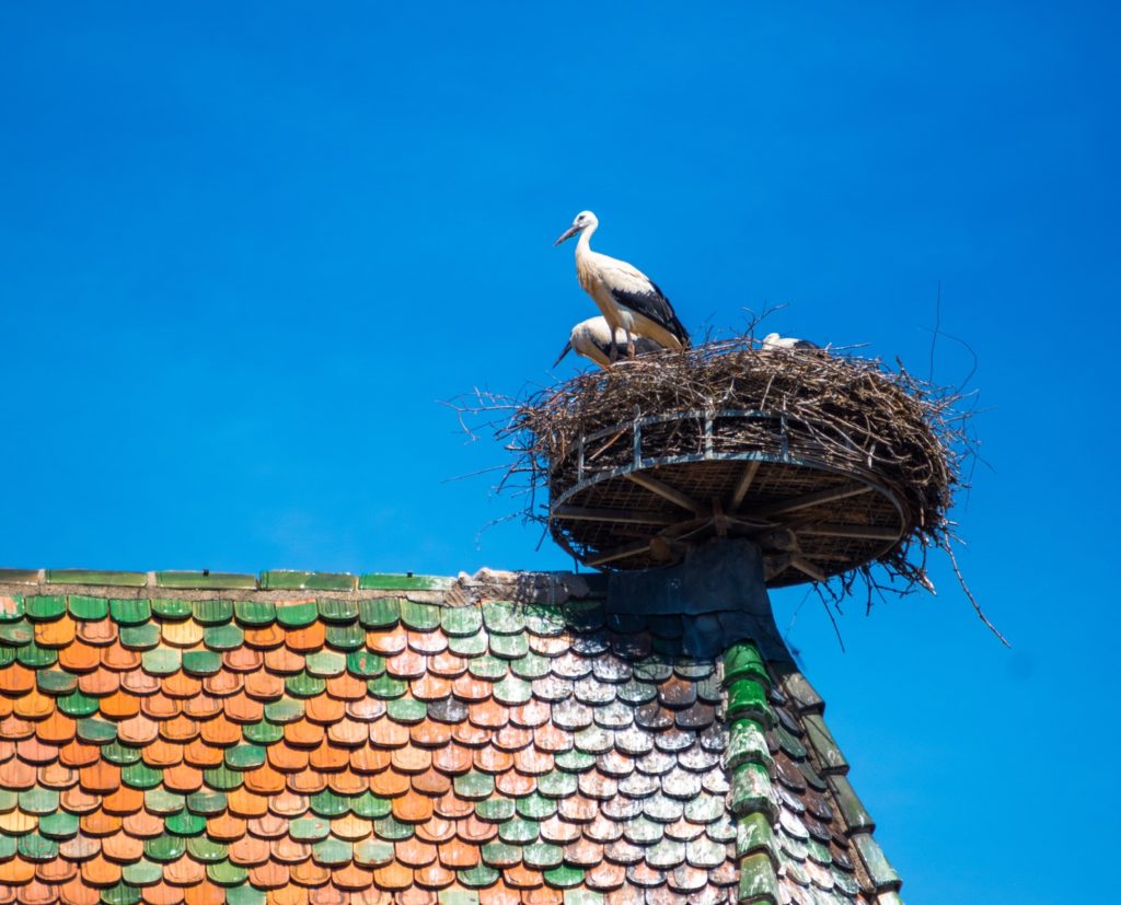 écovillage en alsace