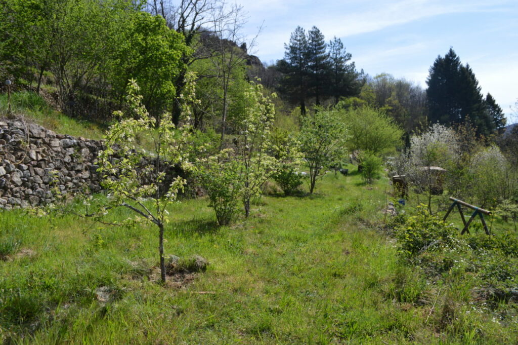 Terrasse avec cruitiers 2
