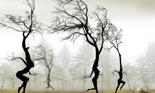 imaginaire imaginaire